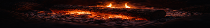 Burning Log