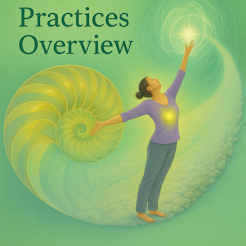 Overview of the Core Practices